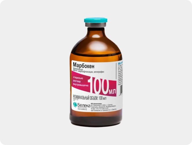 Марбокен