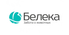 О компании